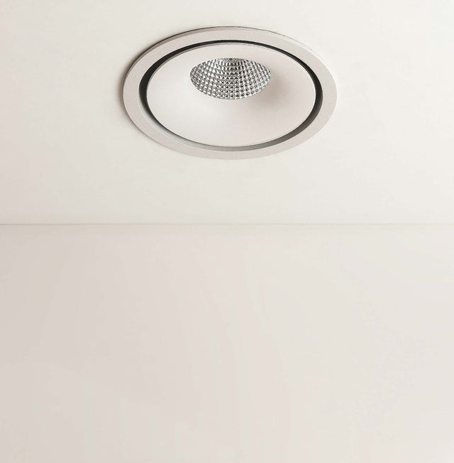 Halo White