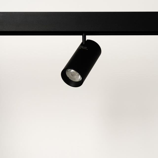 Magnetic Spot
